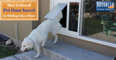 self install pet door